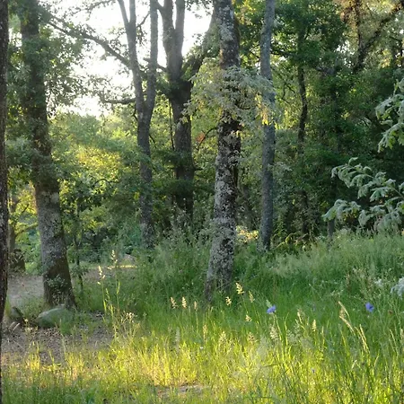 En Ribeira Sacra, Borbela De Luz *