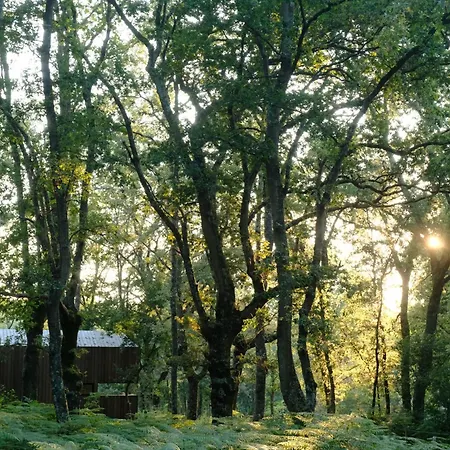 En Ribeira Sacra, Borbela De Luz Kamp alanı *